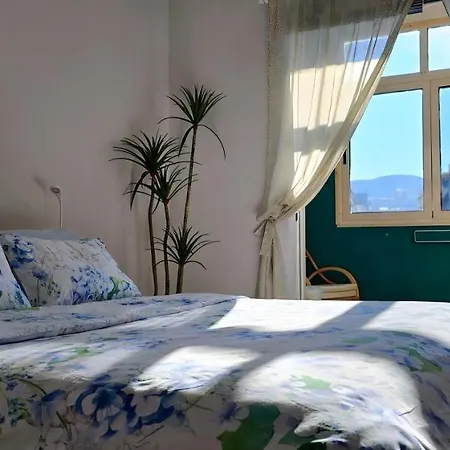 Nuci's Place 2 Sunny With Balcony 15 Min From Bllok * Tirana