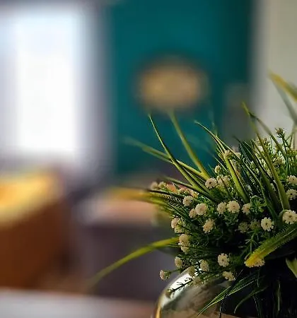 Apartament Nuci's Place 2 Sunny With Balcony 15 Min From Bllok Tirana